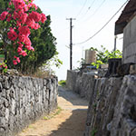 A small road of Hamahigajima