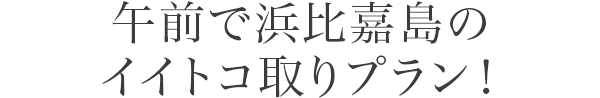 午前で浜比嘉島のイイトコ取りプラン！